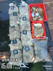 내일 쭈꾸미 출조합니다 자리여유 있습니다