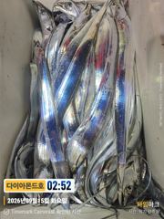 4지급 쌍걸이 느나느나! 수요일부터 내만갈치 예약가능! 전화주세요~