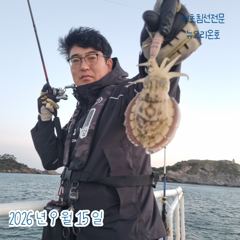 <뉴오리온호> 갑오징어 탐사 마무리 굿 조황(15일)-내일 생미끼 자리있습니다