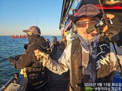 [고강호] [ 고강호 ] 9월 15일 [ 인천 쭈꾸미 조황 ~!! ] [ 인천배낚시 청마피싱 / 인천선상낚시 / 인천낚시배 ]