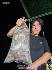 삼천포 문어조황! 주간반, 야간반 매일출조!
