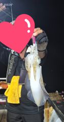 상주항 뉴아틀란티스호 조황 사진