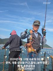 통영 금정호 오전문어 시작부터 손맛 재미납니다 내일 자리여유있습…