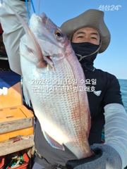 9월16일,"대광어"~어제 초대박 오늘도 굿~참돔까정~~내일도 갑니다~ 군산낚시프라자 범고래호
