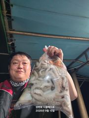 삼천포 문어대박조황! 주간반, 야간반 매일출조!