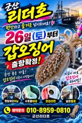 ▼▼리더호 ●황금물때 쭈꾸미 낼 ●소수인원 정상출조