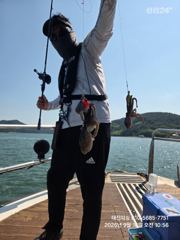 ^16일 실시간 쭈꾸미 조황 좋습니다 "내일/평일 쭈욱 예약중입…