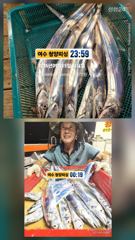 [여수,광양] 여수 청양피싱 9월16일 입항조황입니다.
