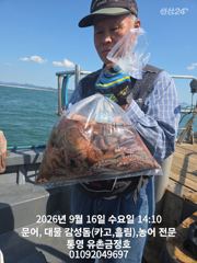 통영 금정호 오전문어선상 마릿수손맛 좋습니다!! 내일과 주말 자리여유있습니다