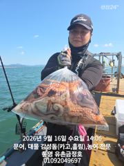 [통영] 통영 금정호 오전문어선상 마릿수손맛 좋습니다!! 내일과 주말 자…