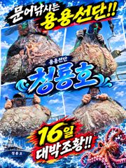 [고흥,녹동] <고흥녹동> 청룡호 16일 돌문어 대박!!조황!!