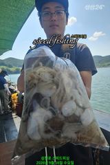 9분 왕주꾸미 사이즈.마릿수 끝내줍니다(낼 자리여유)