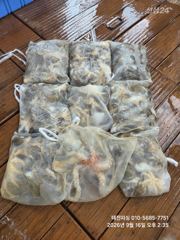 ^16일(수) 쭈꾸미 조황 좋습니다 "내일 출조확정" 쭈욱 예약중입니다^^