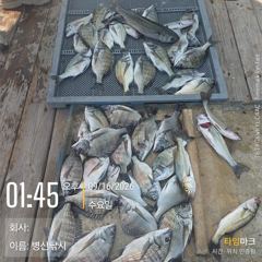 [고성] 병산 감성돔38외 마리수 선상배&선외기 흘림조황
