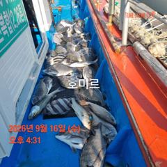.호미르호 선상 찌낚시