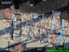 [군산] 17일 12분 쭈꾸미 굿조황 낼 1자리 여유자리