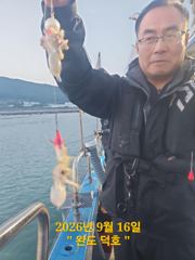 완도덕호 9.16 쭈,문