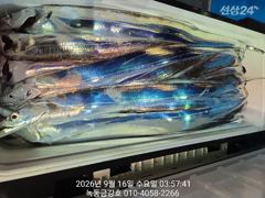 [고흥,녹동] 녹동금강호16석 대갈치쿨러조항1인2쿨까지.자리지정예약제 010-…