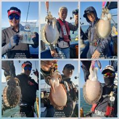 [무창포아파치호]9월16일(수),사릿물때에도장원200수육박,갑오징어와쭈꾸미들로빵빵한조황~추석당일(25일,금)도3자리여유~예약문의는010-8422-0866~