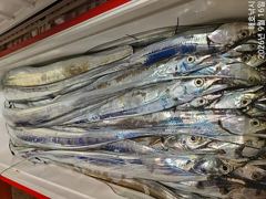 [여수해호낚시] 전원 얼음 녹여가며 쿨러 채워 왔습니다.