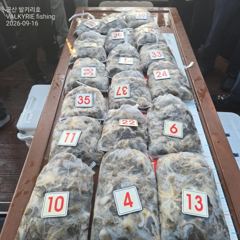 <발키리호> 쭈꾸미 오후 마무리 조황(16일)-함께해주신 조사님들 수고하셨습니다.