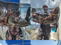 [진해] 문어,오늘8분,120수,어제130수,왕창(금,예약가능)