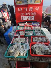 9월17일 쭈.갑조항