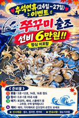국동항 홍단호 주꾸미 조황 사진