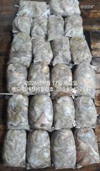 9월16일 굿 초대박 조황...군산 홈런호 야간 문어 마무리 조…