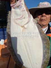 9월17일,"대광어"~연일 굿~참돔 ,우럭등 다양한 손맛~실시간…