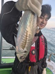 [부산] 대전갱이~~64cm참돔~부시리조황