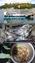 [진해] 내만칼치 자리 널~널~합니다