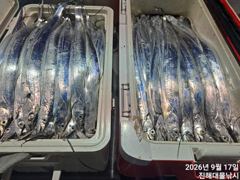 우와~17일새벽,내만칼치 담배값사이즈까지 쿨러터지게 초초대박~예악가능