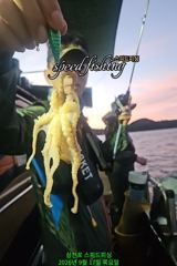 [사천] 17일 주꾸미 느나~느나 실시간 조황(낼 자리여유)