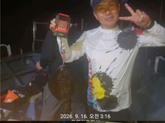 [통영] 무늬팁런!!#59~61번째 낼부터gogo