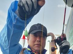 여수쭈꾸미 176마리