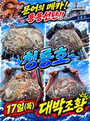 [고흥,녹동] <고흥녹동> 청룡호 17일 돌문어 대박!!조황!!