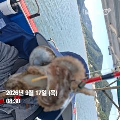[사천] 9월 19일 쭈 1자리여유 20일 10자리여유