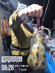 [팁런] 1.3k. 씨알좋은,무늬들 (금,토,일,출항)