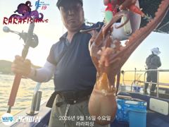 [진해] (야간문어) 금요일.쭉욱 예약가능 문어잡으러가즈아~