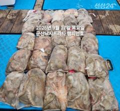 17일, 어제 대박에 이어, 장원 30수 2분--2망탱이씩 굿굿~13분이 낚아낸 덩치급 문어들~내일도 갑니다~군산 챔피언호