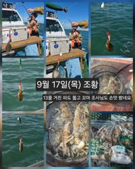 [피닉스피싱호] 9월 17일(목) 체험낚시 조황 - 13물 거친 파도 뚫고 꼬마 조사님도 손맛 봤네요