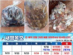 [사천] [새행복호] 손님 없어 선장님만 나가 잡은 3시간 조황