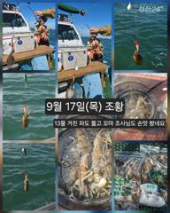 [피닉스피싱호] 9월 17일(목) 체험낚시 조황 - 13물 거친 파도 뚫고 꼬마 조사님도 손맛 봤네요