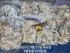 쭈갑조황 글만 보기