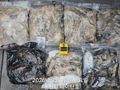 [쭈갑조황] [홍원항타이탄호] 9월17일(목) 쭈꾸미.갑오징어 조황입니다.