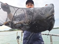 해복호 17일 조항 사이즈 위주로 다녀와습니다.