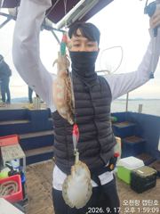 9월 17일 쭈꾸미/갑오징어 조황입니다.