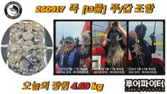 쭈.갑 먹물조황+ - 9월17일 문어 대박조황 이제 시작입니다