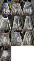 갈치한치조황++ - [[제주 뉴그린호(1호) 9월 16일 야간갈치 조황]]
